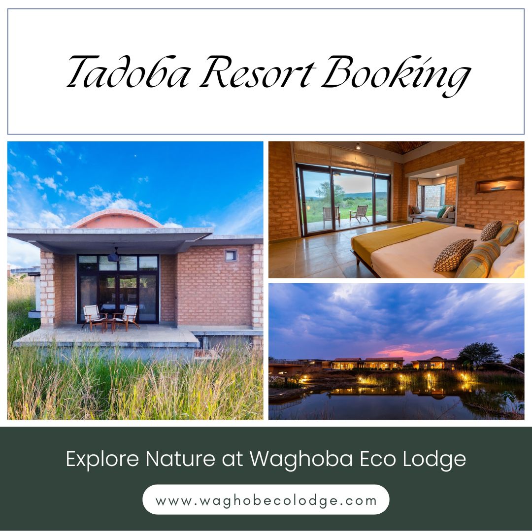 Tadoba Resort Booking | Explore Nature At Waghoba Eco Lodge
